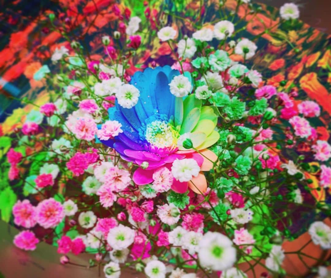 澁谷梓希さんのインスタグラム写真 - (澁谷梓希Instagram)「. 💐✨ . #flower #bouquetofflowers #bouquet #colorful #japan」12月24日 22時37分 - azk_s811