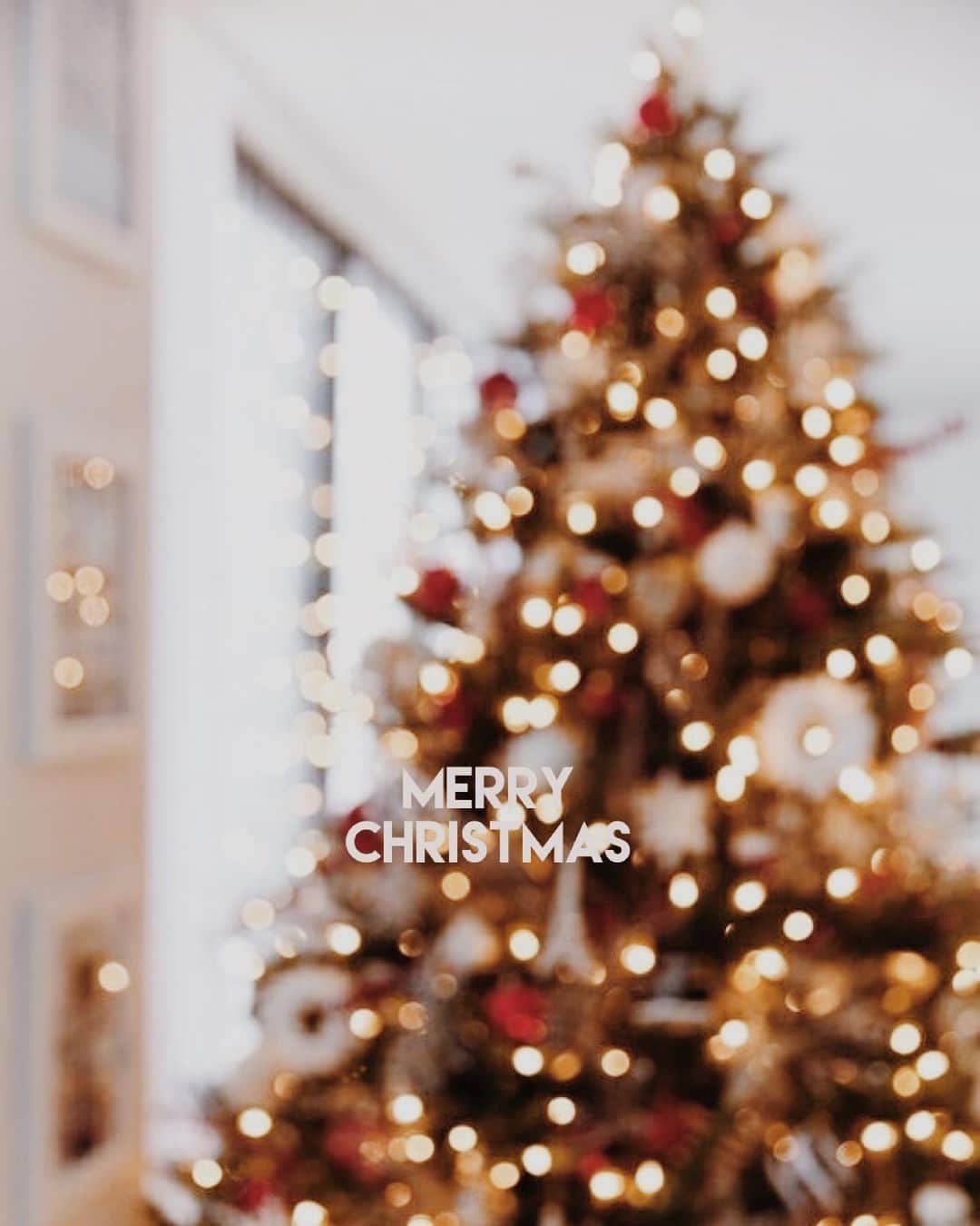 今井華さんのインスタグラム写真 - (今井華Instagram)「Merry Christmas 🎄 完全なるど平日の打ち合わせ終わりに あ、クリスマスか🎅🏻ってなる位 慌ただしくて全然そんな感じないけど😂 皆さま素敵なクリスマスを🎅🏻🎄💕 #めりくり」12月24日 22時41分 - imaihana