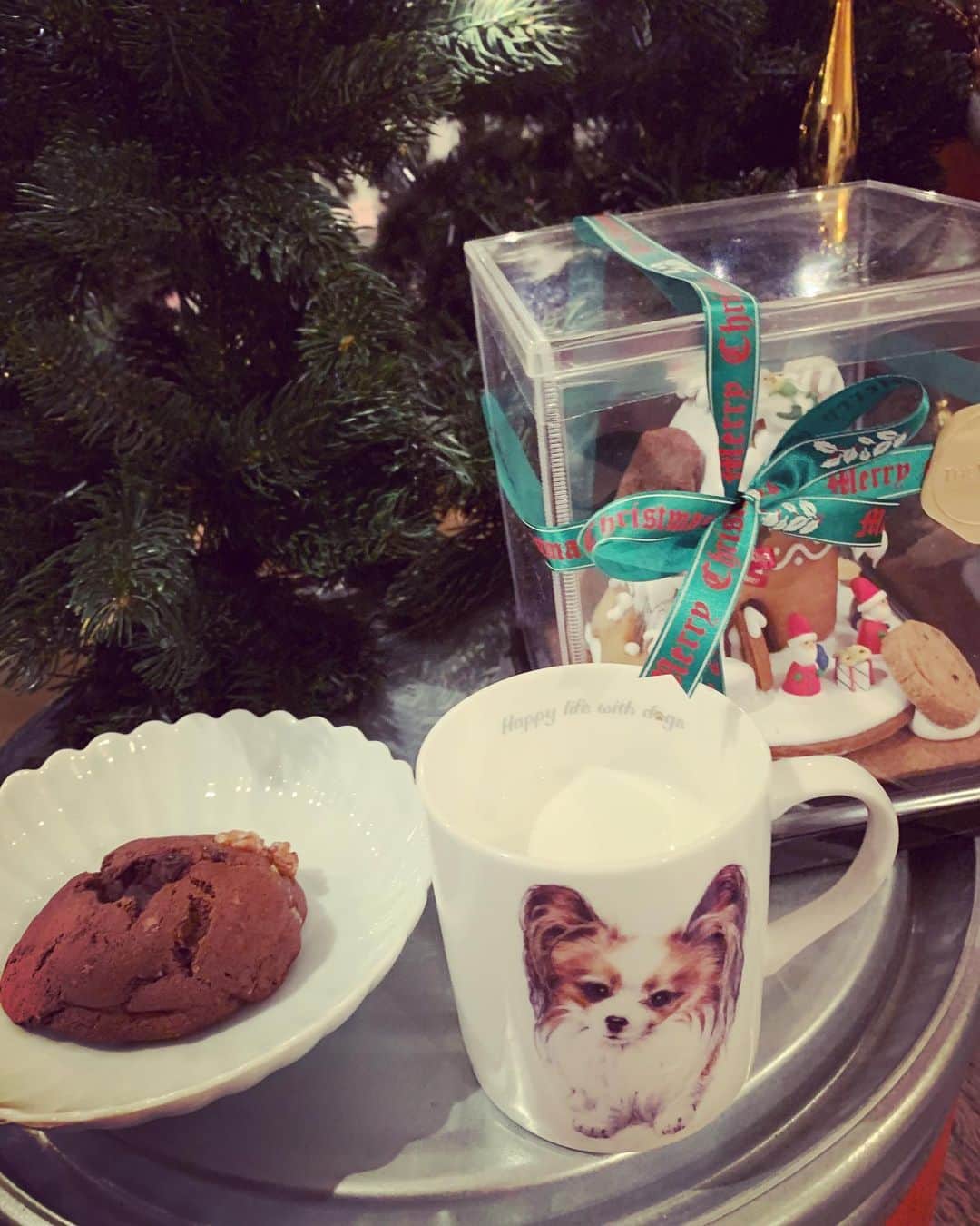 真樹麗子さんのインスタグラム写真 - (真樹麗子Instagram)「サンタさん🎅来てくれるかな？🎄✨ #merrychristmas#スタンバイok」12月24日 22時58分 - makiofficial_0718