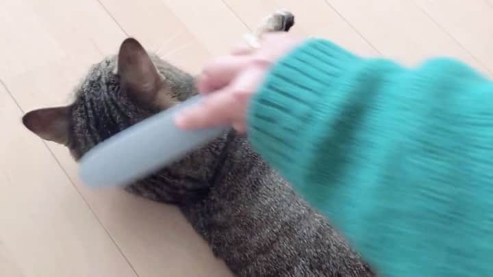 中山美香のインスタグラム