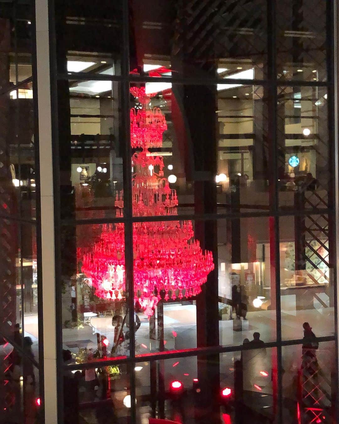 高橋ひとみさんのインスタグラム写真 - (高橋ひとみInstagram)「クリスマスイルミネーションを見に行きました🎅 今日の東京はすごく寒いですが、みんな楽しそうでした😊🎵　#goldenretriever  #ゴールデンレトリーバー」12月24日 23時05分 - hitomi_momoe