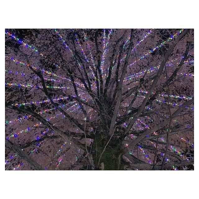 DJPLANET_JPのインスタグラム：「🎄🎄🎄. happy holidays🎅」