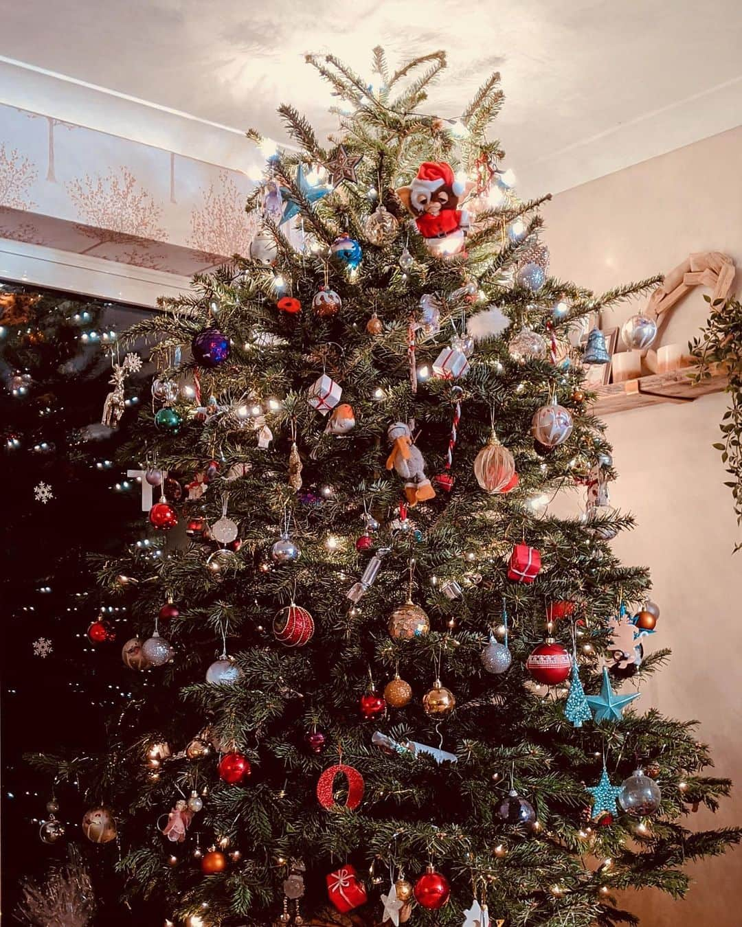 Joeさんのインスタグラム写真 - (JoeInstagram)「Back from York #xmastree #coxon」12月24日 23時45分 - joe_tokyodandy