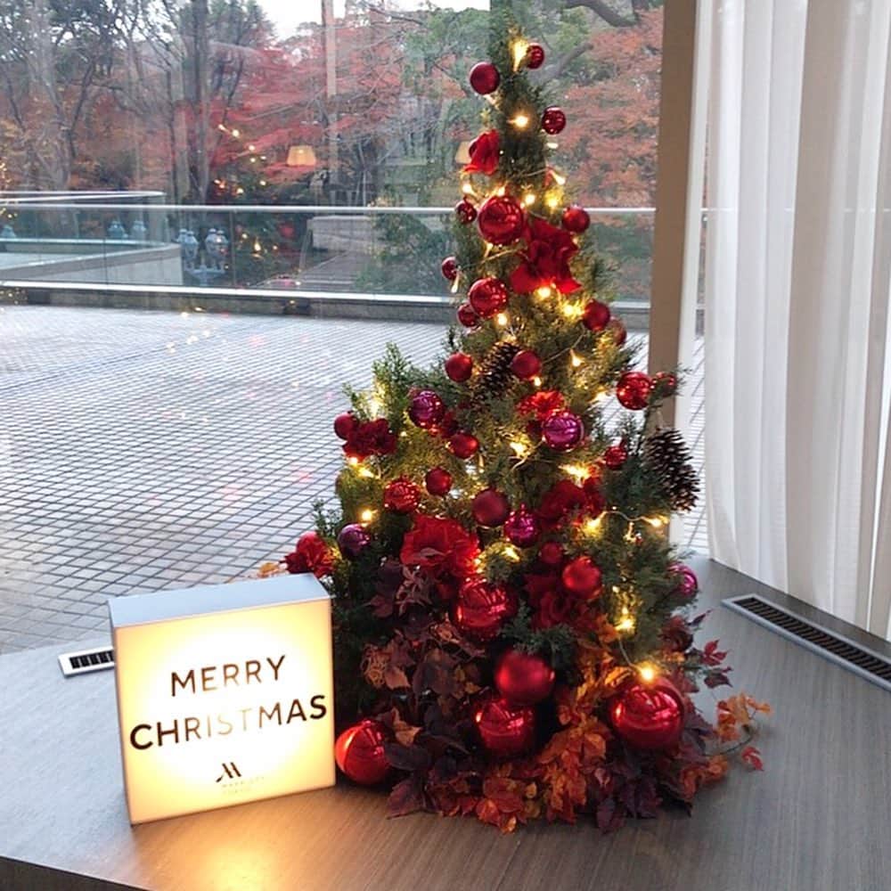 長江愛美さんのインスタグラム写真 - (長江愛美Instagram)「Merry Christmas Eve🎅🏻🎄 #素敵なtree#xmas2019」12月24日 23時46分 - manamin.512