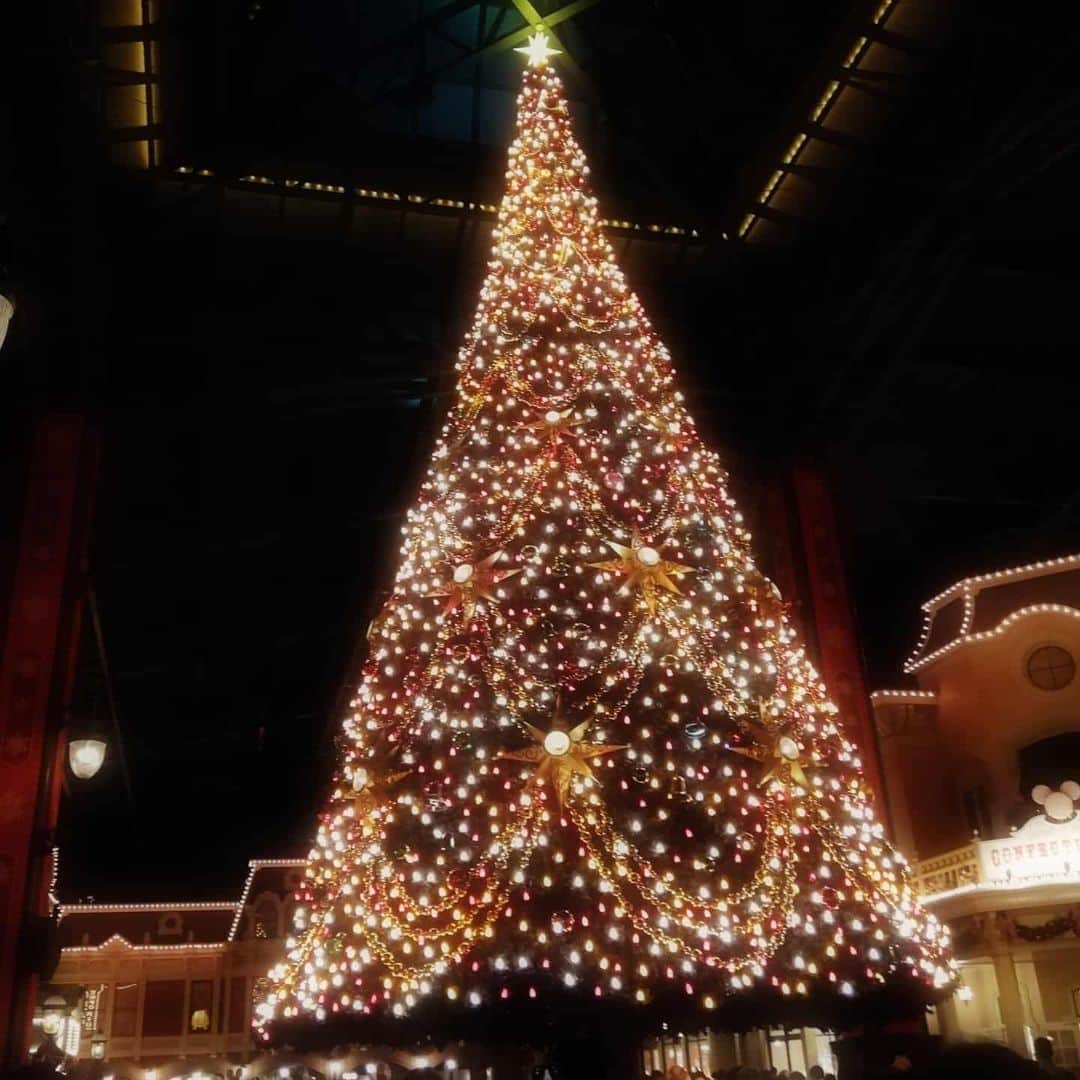野川さくらさんのインスタグラム写真 - (野川さくらInstagram)「2019.12 #2019年のクリスマスツリー♪ #クリスマスツリー #東京ディズニーランド #大好きなラプンツェルとプーさんに会えたよ♡ #来年も行けるといいなぁ。。。♪ #声優 #ファンクラブ #さくらClub #にゃんスタグラム #野川さくら #さくにゃん #野川さくらのチョコレートたいむ #野川さくらのチョコレートたいむ第34回目」12月24日 23時55分 - sakura_nogawa