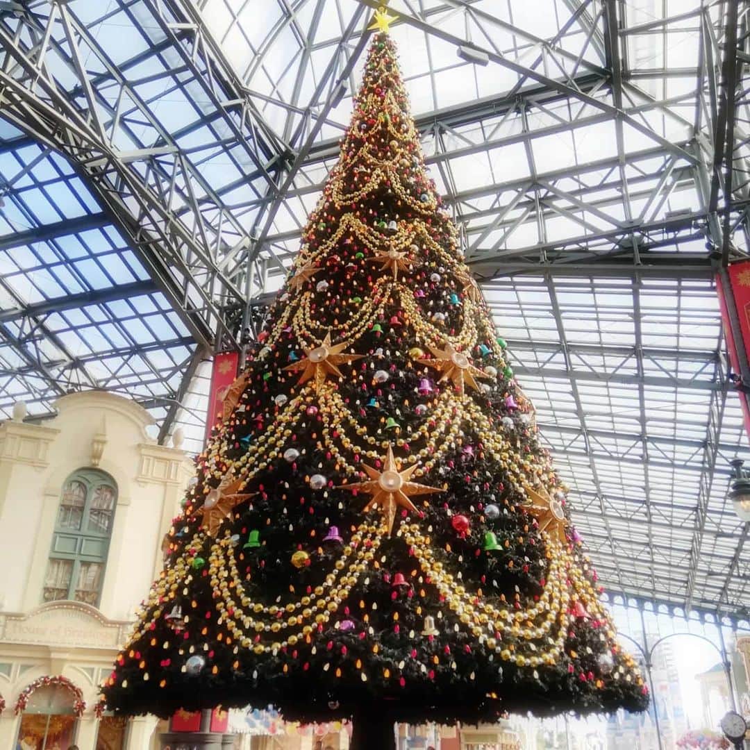 野川さくらさんのインスタグラム写真 - (野川さくらInstagram)「2019.12 #2019年のクリスマスツリー♪ #クリスマスツリー #東京ディズニーランド #大好きなラプンツェルとプーさんに会えたよ♡ #来年も行けるといいなぁ。。。♪ #声優 #ファンクラブ #さくらClub #にゃんスタグラム #野川さくら #さくにゃん #野川さくらのチョコレートたいむ #野川さくらのチョコレートたいむ第34回目」12月24日 23時55分 - sakura_nogawa