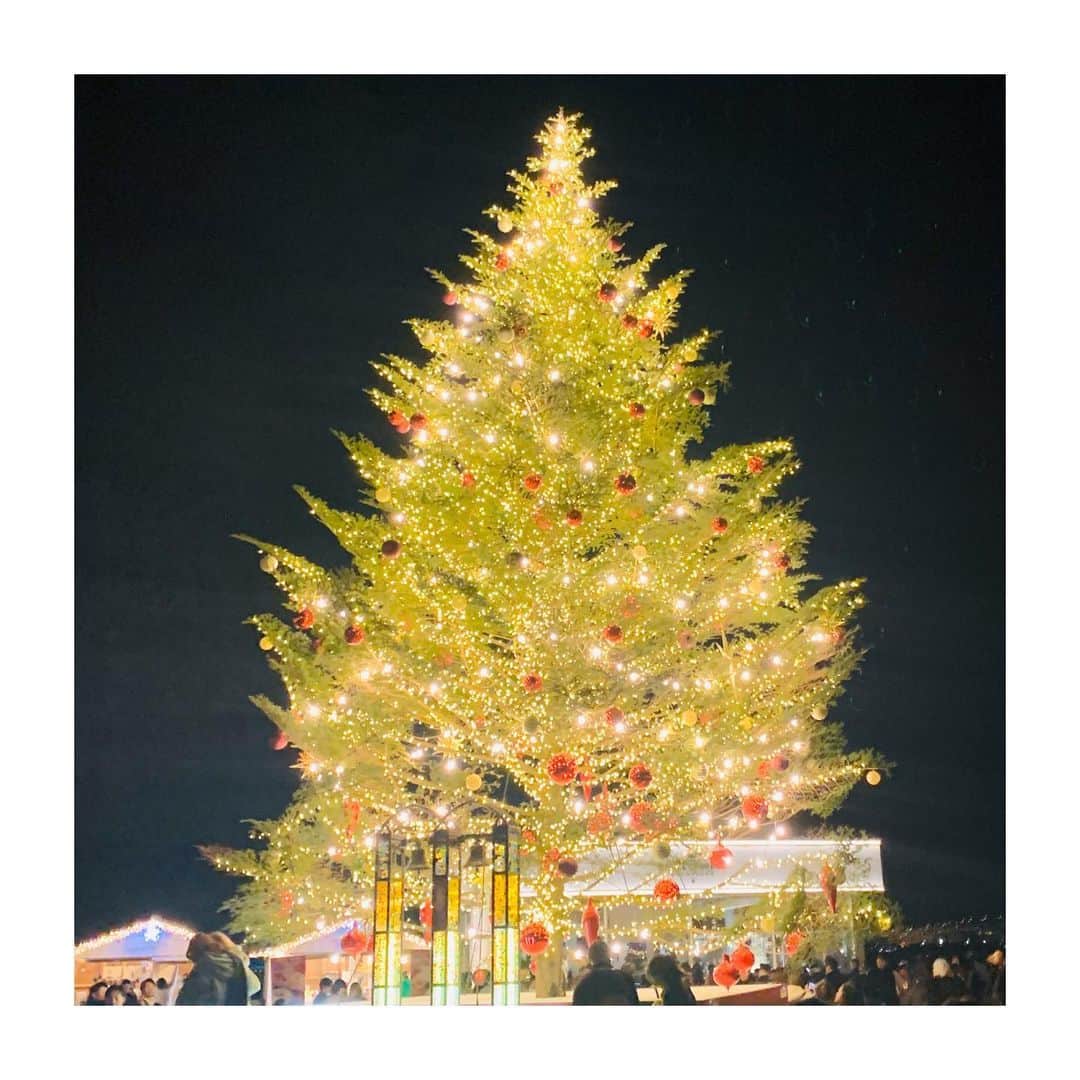 楠紗友里さんのインスタグラム写真 - (楠紗友里Instagram)「Merry Christmas🎄❤️ 今年も赤レンガのツリーが見られました😍✨ 皆さんにとって、素敵なクリスマスになりますように…❣️ * #メリークリスマス #クリスマス #横浜 #赤レンガ倉庫  #xmas #xmastree #merrychristmas #christmastree」12月25日 0時53分 - sayuri_kusunoki
