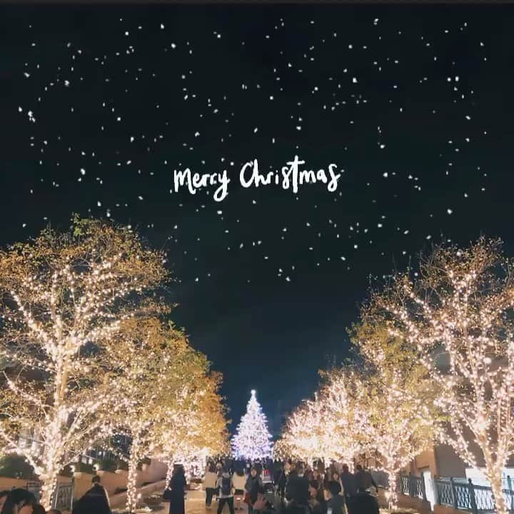 のインスタグラム：「🎄𝙼𝚎𝚛𝚛𝚢 𝚇'𝚖𝚊𝚜..🤎」