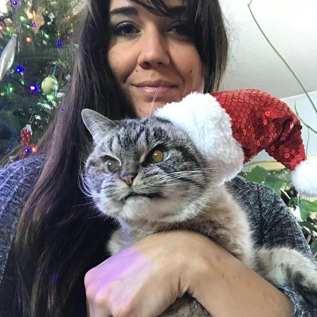 Lokiさんのインスタグラム写真 - (LokiInstagram)「Christmas 🎄 2018 with @kaety_kat 🎄 Don’t worry I’ll take new ones as I still have this hat! 🎅🏽 #happyholidays #christmaseve #winter #santa #cats #catsofinstagram #cat #cute #photooftheday」12月25日 1時43分 - loki_kitteh