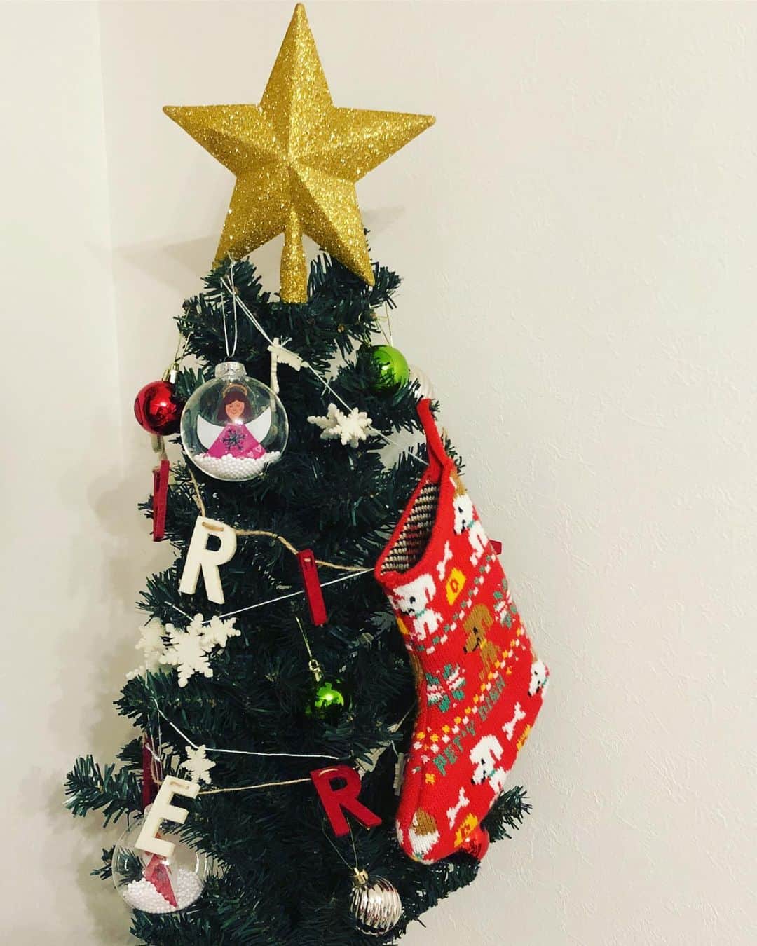 たかはしゆいさんのインスタグラム写真 - (たかはしゆいInstagram)「・ 🎄メリークリスマス🎄 ・ きぃたんにヘビとメロンパンの おもちゃをプレゼント🎁❤️ ・ 早速遊んでる♪ ・ #メリークリスマス #メリクリ #愛犬へのプレゼント #ミニチュアシュナウザー #シュナ #12月25日 #dogstagram #わんこのいる暮らし #たかはしゆい」12月25日 1時53分 - t.yuirin