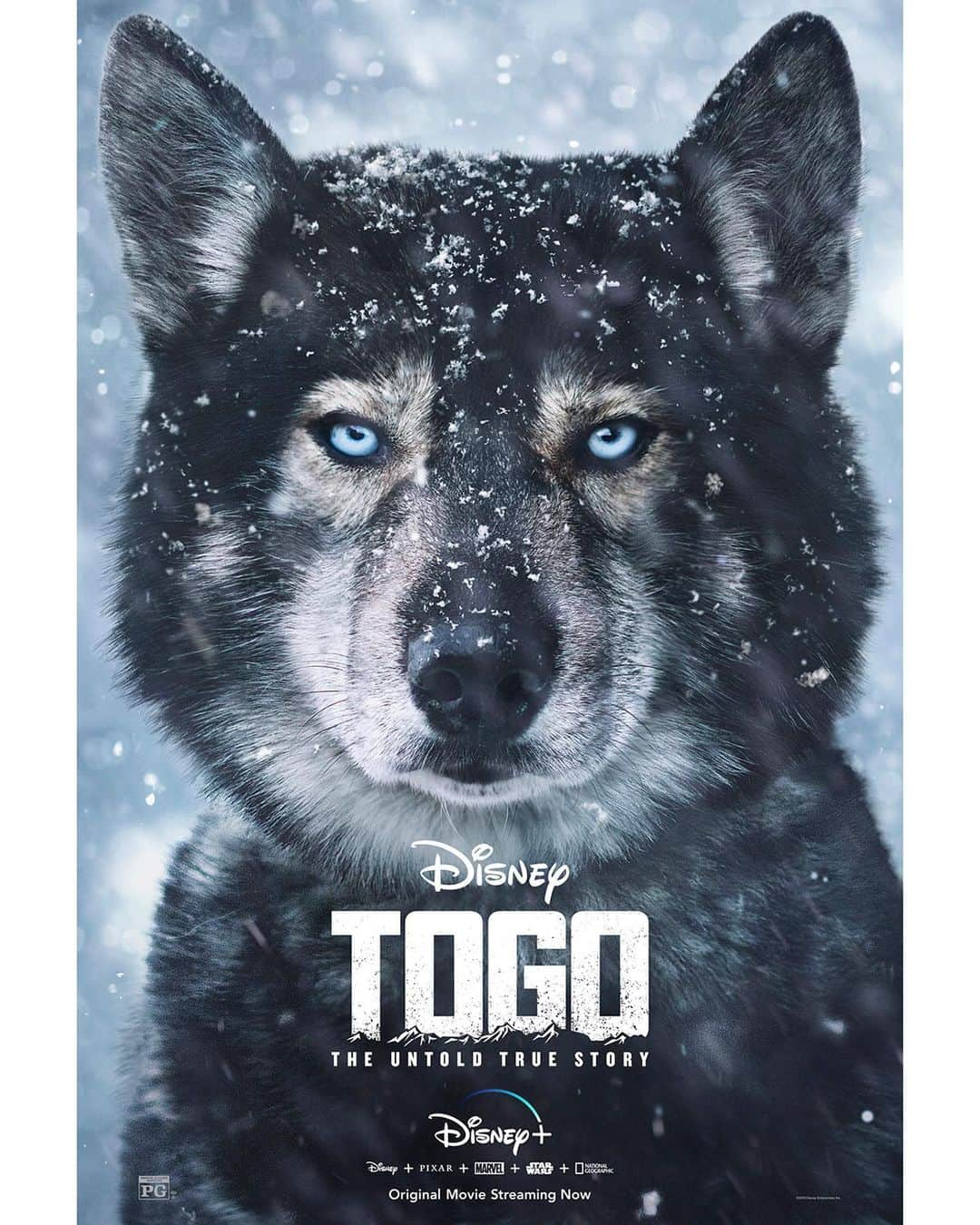 Disneyさんのインスタグラム写真 - (DisneyInstagram)「Intelligence. Stamina. Courage. Heart. Check out the new character art for #Togo, an Original Movie, now streaming on @disneyplus. #DisneyPlus」12月25日 2時06分 - disney