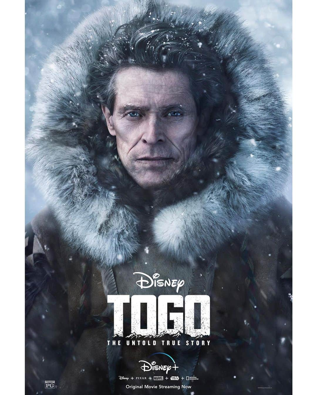 Disneyさんのインスタグラム写真 - (DisneyInstagram)「Intelligence. Stamina. Courage. Heart. Check out the new character art for #Togo, an Original Movie, now streaming on @disneyplus. #DisneyPlus」12月25日 2時06分 - disney