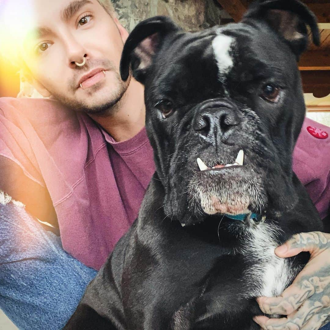 ビル・カウリッツさんのインスタグラム写真 - (ビル・カウリッツInstagram)「Merry Christmas ❤️」12月25日 2時34分 - billkaulitz