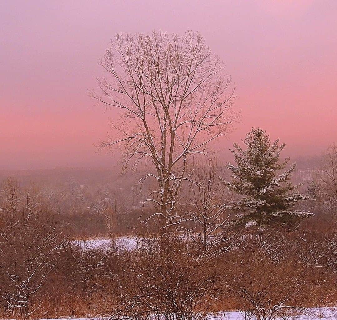 のインスタグラム：「May your holiday be merry and bright! ✨✨✨✨✨✨✨✨✨✨ From Oboz Ambassador @back.road.ramblers, "Now that the solstice is behind us, we can look forward to longer days and later sunset adventures through snowy fields. Taken in the Walloomsac Headwaters Park in Bennington, Vermont." . 📷: @back.road.ramblers . . . #truetothetrail #wintersolstice #obozambassador #gratitude #leadtheway #winter」