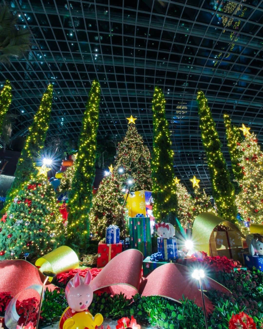 Canon Asiaのインスタグラム：「“This was such a magical place. It took me a while to find this composition as there were many people, but I somehow managed to squeeze my tripod in between to capture this shot!” ⁣ ⁣Canon wishes everyone a joyous Christmas! 🎄 We hope you are able to capture your desired festive shots 🎉 even among the bustling Christmas crowd. ⁣ ⁣📷 Image by @andretnn shot using the Canon EOS 60D | f/16 | ISO 100 | 5s | 10mm ⁣ ⁣Want your photos to be featured too? Tag them with #canonasia or submit them on My Canon Story, link in bio! ⁣ ⁣#canonasia #photography #christmas #christmasphotography #christmastree #festive #lights #christmaslights #xmas2019 #christmas2019 #merrychristmas」