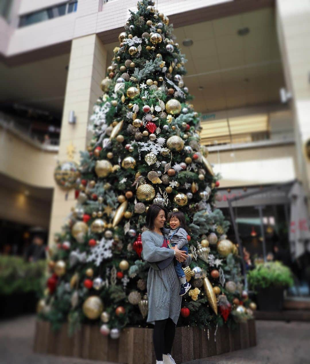 鈴木リカルドのインスタグラム：「Merry Christmas🎄 #merrychristmas #メリクリ#feliznatal」