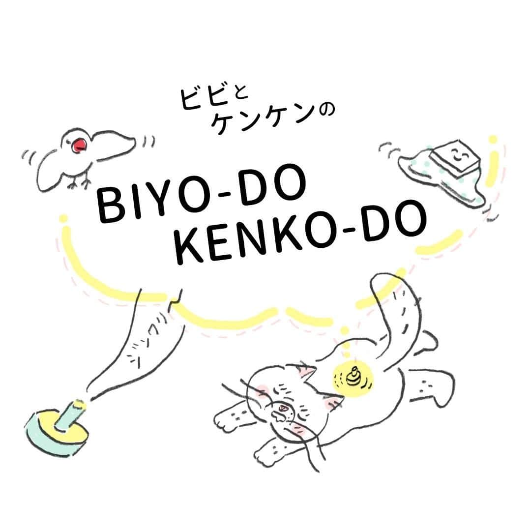 のインスタグラム：「. 【キナリノサロン連載】 美容＆健康マンガ「ビビとケンケンのBIYO-DO KENKO-DO」 . …………………………………………… アプリ限定美容コンテンツ 【キナリノサロン】で連載中の漫画をチラ見せ！ →ダウンロードはプロフィールリンクから . ※アプリは最新版にアップデートしてくださいね。 …………………………………………… . 「BIYO-DO,KENKO-DO」へようこそ！「美容」や「健康」にがんばるのって少し気後れしてしまう…そんなあなたにかわって、猫のビビがさまざまなヘルシー体験に挑戦します。 今回は「せんねん灸お灸ルーム（@sennenq.ginza）」で2000年以上の歴史をもつ「お灸」を体験！つらい冷えや肩こりに悩まされるこの季節はお灸の自然な暖かさがぴったり。イメージを一掃する最新お灸情報もお届けします♪ . illustration:タカヒロコ（@takahiroko_illust） . #キナリノサロン #お灸 #せんねん灸 #銀座 #民間療法 #温活 #お灸女子 #お灸ビューティー #ツボ #冷え解消 #東洋医学 #お灸教室　#漫画 #猫イラスト #文鳥 #beauty #丁寧な暮らし #暮らし #キナリノ」
