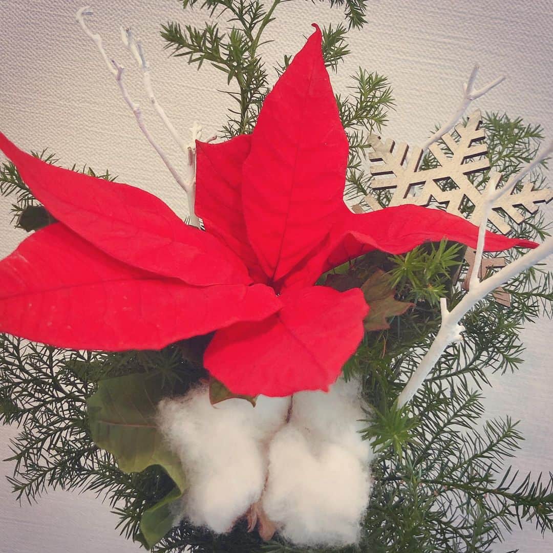 麻生夏子さんのインスタグラム写真 - (麻生夏子Instagram)「メリークリスマス🎄🎁✨ ポインセチアの鉢を買うタイミングをなくしたので、花束で。  #merrychristmas」12月25日 14時02分 - natsukoaso0806