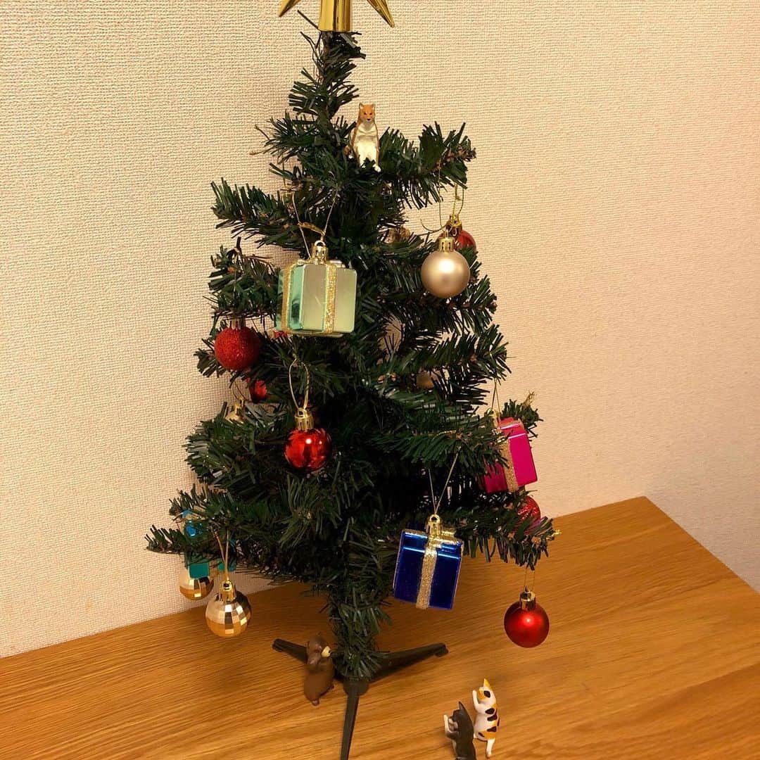高本剛志さんのインスタグラム写真 - (高本剛志Instagram)「メリークリスマス。  #メリークリスマス」12月25日 14時34分 - takamoto76