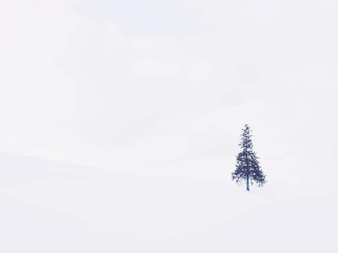 のインスタグラム：「冬の写真をたくさん撮りたい❄️ . . .  #ig_hokkaido #instagramjapan #ig_japan_ #indies_gram #ifyouleave #as_archive #still_life_nature #vscocam #still_life_mood #reco_ig #nature_brilliance #ig_eternity #moody_nature #dof_brilliance #heart_imprint #bokeh_bliss #infinity_softly #thehub_macro #hokkaido #biei」