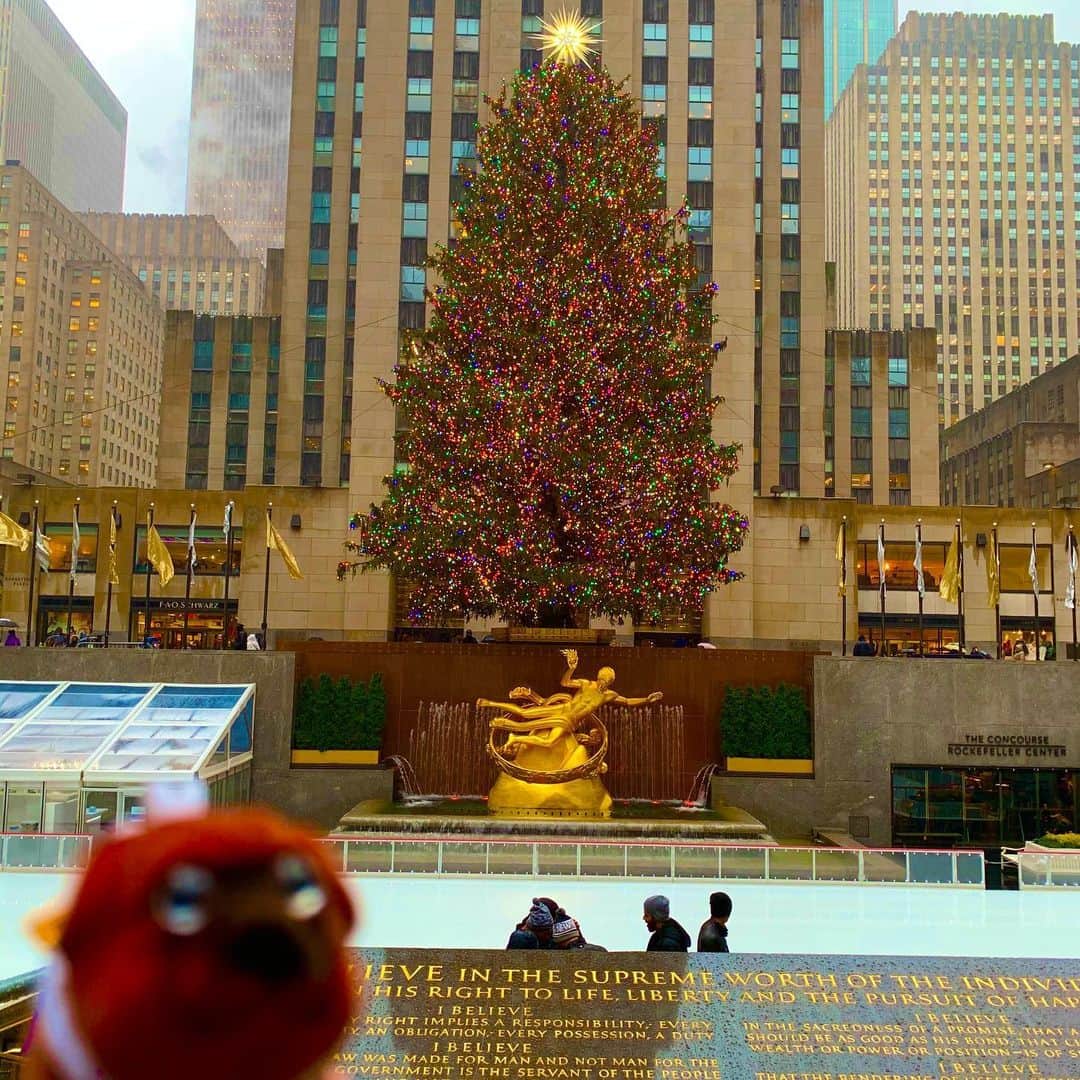 ころのインスタグラム：「ころツーリスト in #アメリカ (#ニューヨーク ) . 🎄メリークリスマス🎄 . クリスマスシーズンにニューヨークに来れる何て😊🎶🎶 . 色んな映画などでいつも目にしていたロックフェラーセンターのクリスマスツリー🎄✨✨とアイススケート場❄️❄️ . この日はあいにく、少し雨が降っていたのでアイススケートは出来ませんでしたがこれて良かったです😆💦💦 . ころの他の写真を見たい方はこちらから！  @koro.dottokoi .  #ころツーリスト #旅 #旅日記 #旅スタグラム #旅すたぐらむ #トラベラー #旅に出たい #旅の記録 #旅好き #旅写真 #旅行好き #旅したくなるフォト #旅フォト #マイトリ #旅行大好き #わんこ #ぬいぐるみ #ぬいどり #ぬい撮り写真部 #マイトリップ #旅の思い出 #旅の思い出 #ぬい撮り #ぬい撮りさんと繋がりたい #ぬいすたぐらむ」
