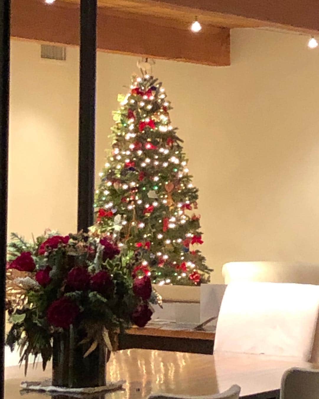 メアリー・マクドネルのインスタグラム：「choose love  it has staying power ❤️❤️❤️❤️❤️. incredible holidays to all」
