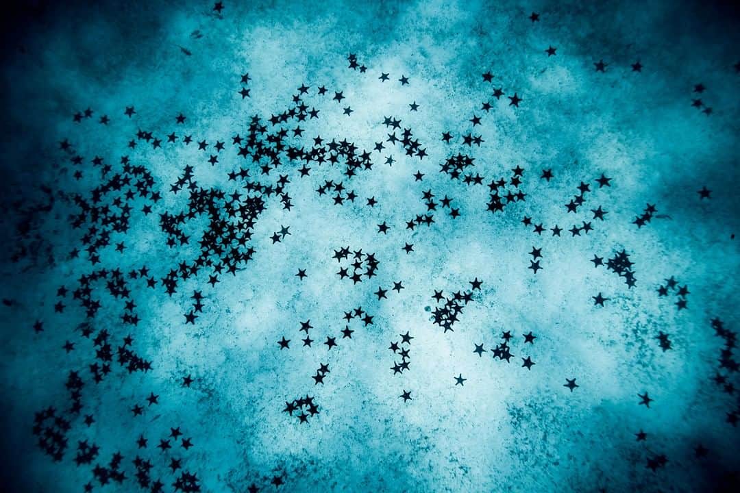 Costa Sunglassesのインスタグラム：「Christmas constellation. 📷: @perrinjames1 #SeeWhatsOutThere #BornOnTheWater」