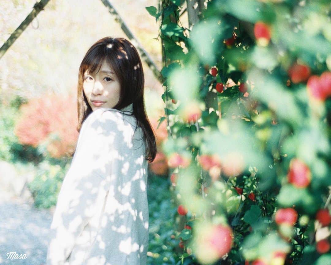 のインスタグラム：「. . . 色だけクリスマスっぽいか🎄 . 撮影日 : 2019年11月26日 . #まさ35 #ヤマプリ #35mm #nikonfm2 #instagramjapan #igersjp #tokyocameraclub #art_of_japan_ #photogenic_jp #GPW_members_only #good_portraits_world #film_jp #film #フィルム #film_com #filmcamera #filmphotography #portrait #ポートレート #photogram_archive #todays_blue_collection #pof_ig #hibi_jp #team_jp_ #滋賀 #shiga」