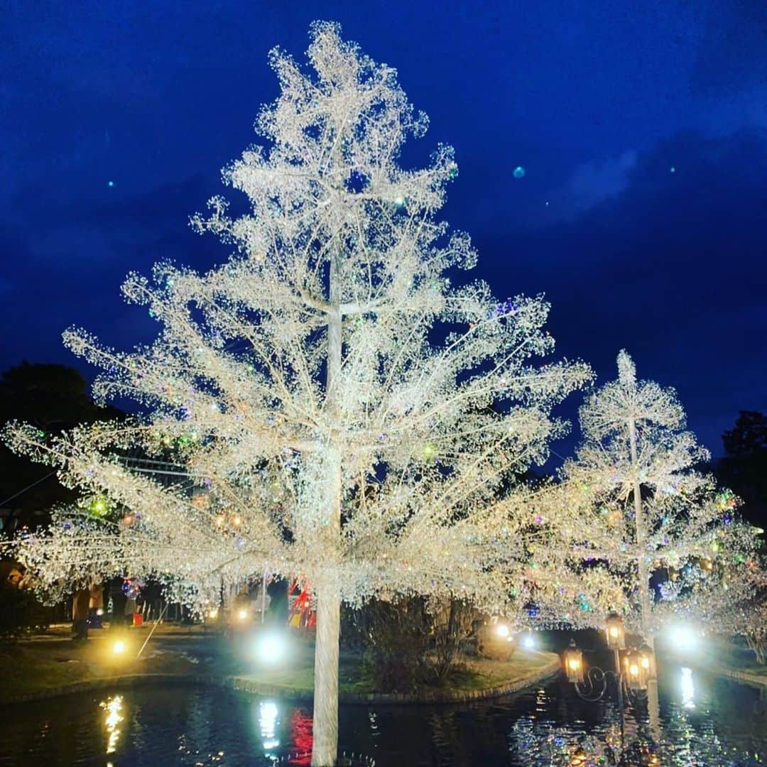 田母神智子さんのインスタグラム写真 - (田母神智子Instagram)「クリスマス🎄 今日はケンタッキー食べたい（希望） #箱根ガラスの森美術館 #christmastree #hakone」12月25日 8時36分 - tomokotamogami