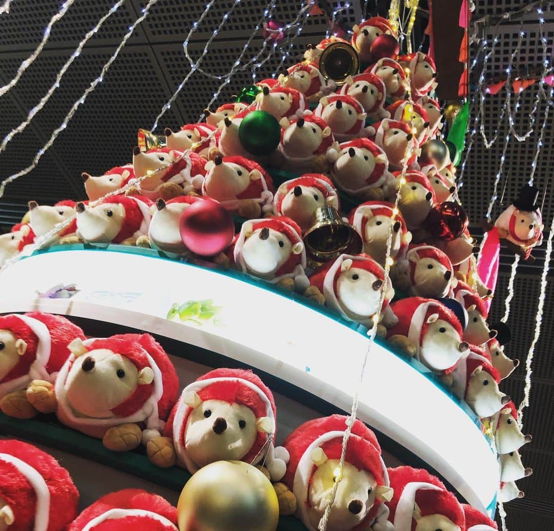 堀内大輝さんのインスタグラム写真 - (堀内大輝Instagram)「🎅 Merry Christmasな朝！ サンタさん来ませんでした…  #ちょっとユニークなツリー #干支の動物でできている #来年の干支 #ねずみ #東京国際フォーラム  #毎年恒例らしい #ケーキは半分 #朝ごはんに #これってあるあるですよね？ #子どもの頃はいけたけど #もたれ気味 #クリスマス #クリスマスツリー #ケーキ #merrychristmas #堀内大輝」12月25日 9時03分 - hbc_daikihoriuchi