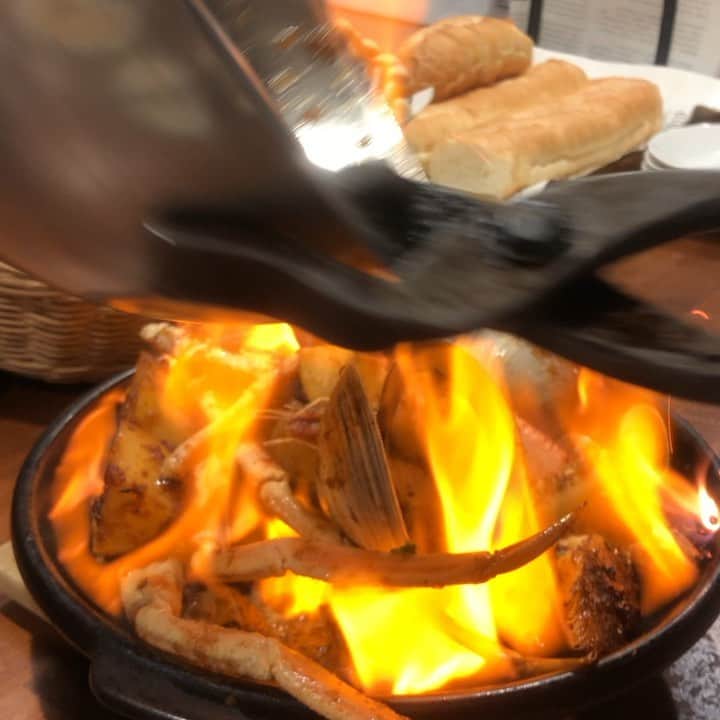 とぎもちのグルメインスタ