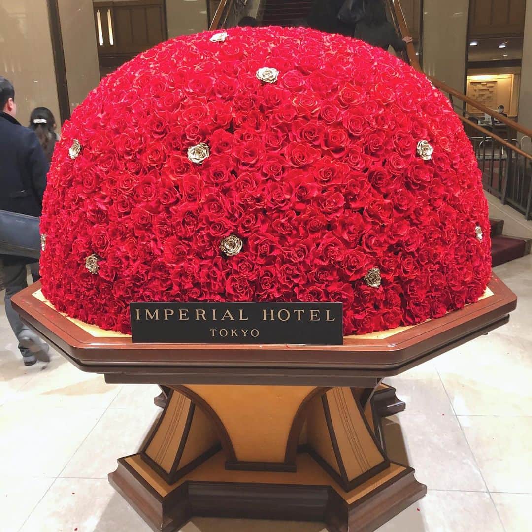 鈴木莉紗さんのインスタグラム写真 - (鈴木莉紗Instagram)「味もサービスも五つ星でした🥺⭐️⭐️⭐️⭐️⭐️ 帝国ホテルってやっぱり素敵✨✨ #嘉門 #鉄板焼き #帝国ホテル #imperialhotel #クリスマスごはん」12月25日 9時26分 - suzuki__lisa