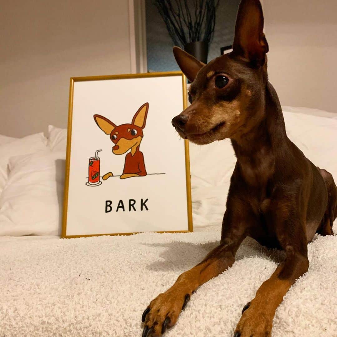 田中亜土夢のグルメインスタ