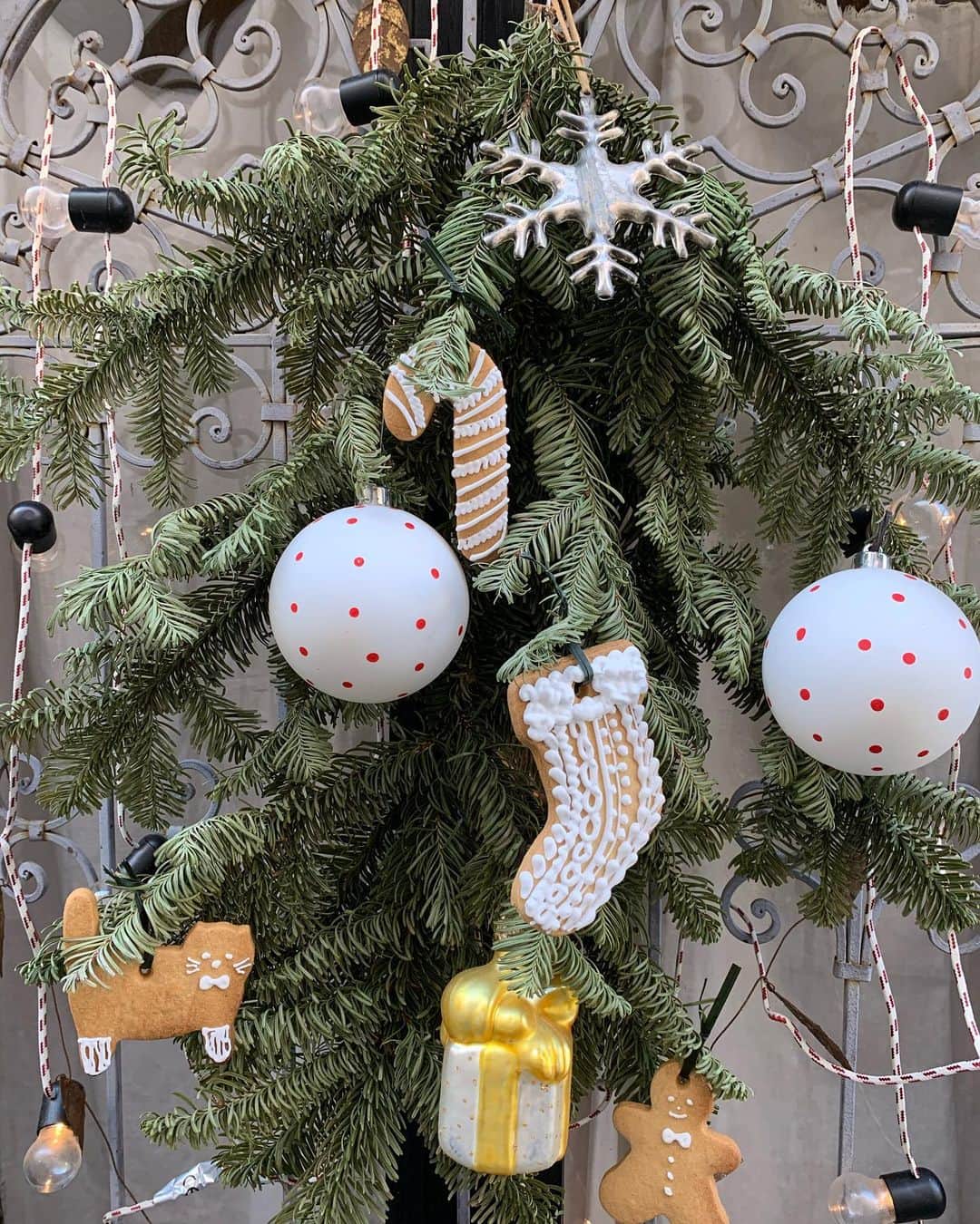 kikkoのインスタグラム：「Merry Christmas 🎄」