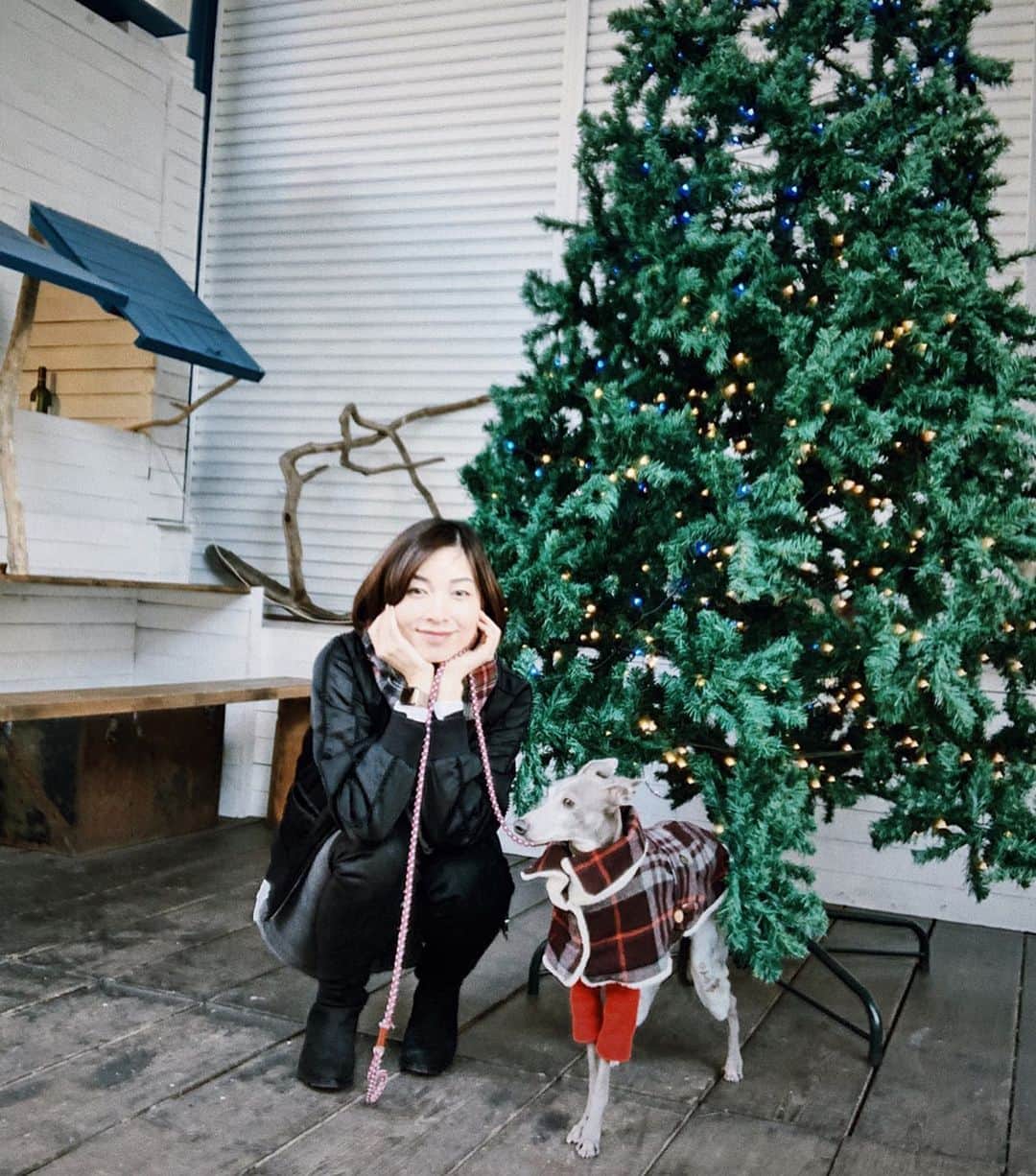 のインスタグラム：「* ******** When we get home, do we have any gifts from Santa ...？ * さて。本日の密談の議題は、ハウルにもサンタは来るのか来ないのか…🎅 とはいえ今年も健康で、特にイタズラもすることなく、東京→大分への初めての飛行機移動や、引越し後の新居でも真っ先に馴染んで過ごしてくれたハウル。 私の方がオロオロとして、ハウルに助けられたことが多々ありました😂💓 サンタさん、来ないはずがありませんね！😂❤️🎄 * ******** #イタグレ#イタリアングレーハウンド#italiangreyhound#dogstagram#イタグレとの暮らし#iggysofinstagram#iggygram #iggylove#iggylife#犬のいる暮らし#イタグレ服#iggysoftheworld #iggysofinstagram #dogsofig #dogsofinstagram #プチプラコーデ #犬好きな人と繋がりたい#オシャレさんと繋がりたい#犬服ハンドメイド#リンクコーデ#おんせん県おおいた#プレママ#マタニティ」