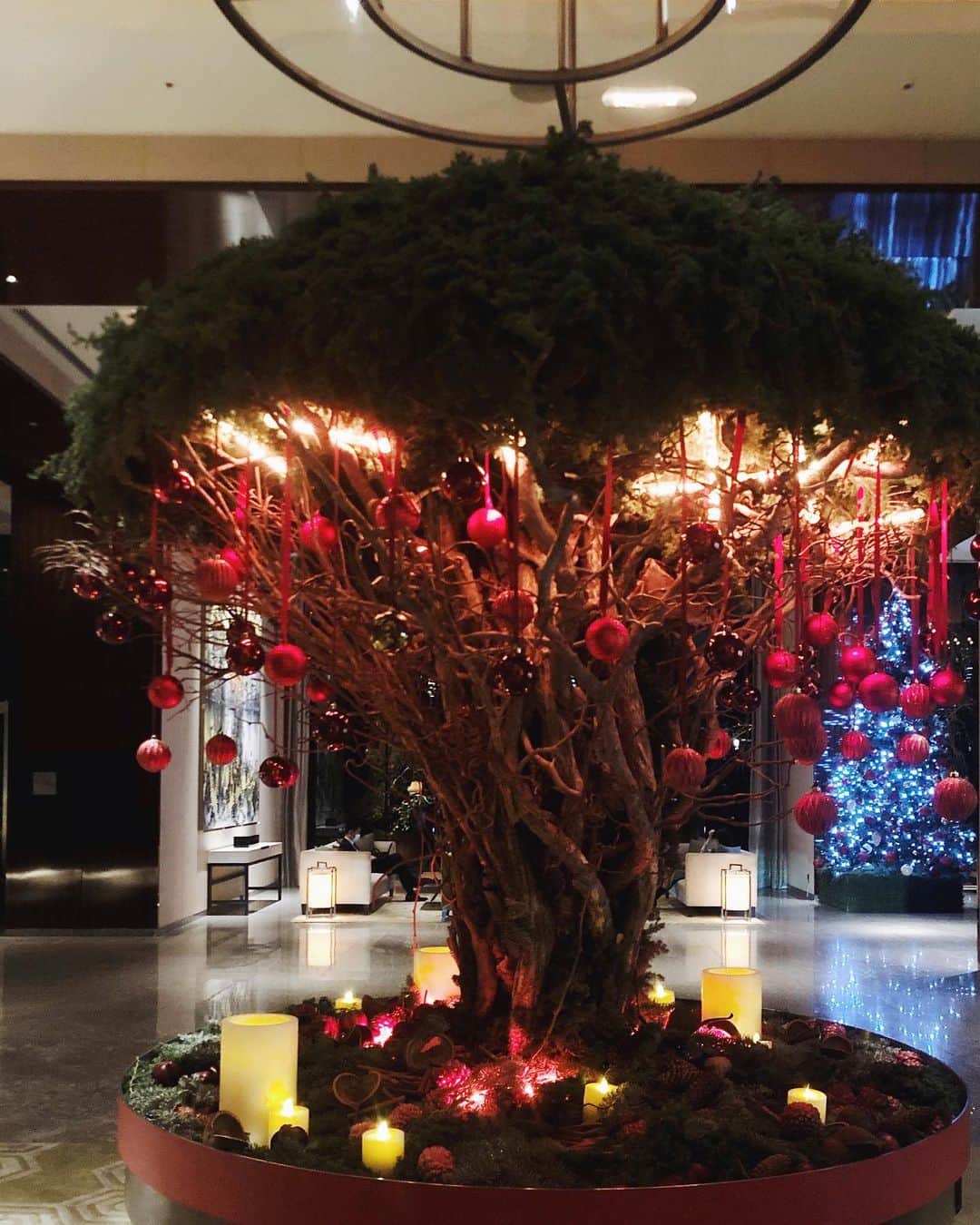 陣内勇人さんのインスタグラム写真 - (陣内勇人Instagram)「merry christmas  #christmas」12月25日 9時42分 - hayato.jinnouchi