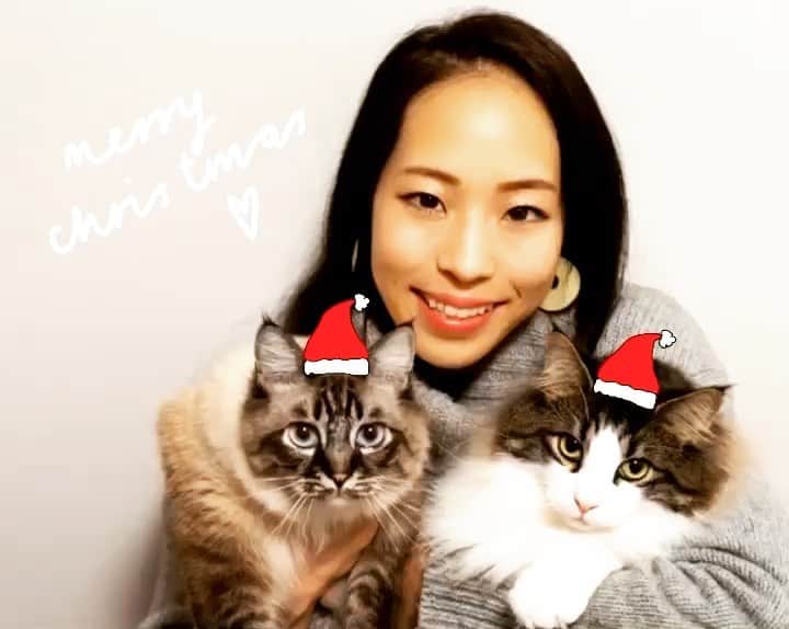 野口啓代のインスタグラム：「🎄Merry Christmas🎄* * * 素敵なクリスマスを•••🎅💝」