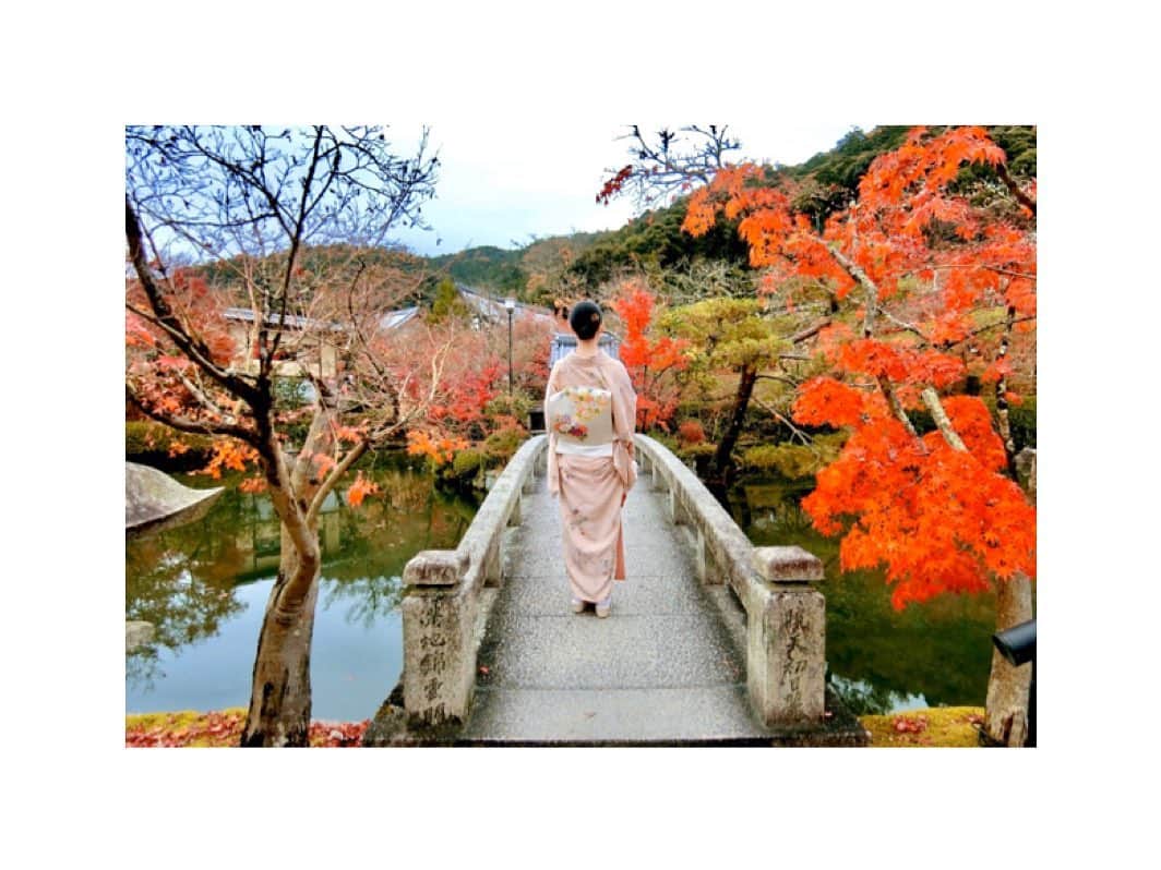川村亜紀さんのインスタグラム写真 - (川村亜紀Instagram)「🍁👘✨ #leaveschanging #leaves🍁 #kyoto #eikando #🍁 #お着物 や #花街 #歌舞伎 など #日本の伝統 が長く守られ受け継がれますように。 #kimono #kimonocordinate #japanesekimono #japanesetradition #beautifultradition #lovekimono  #instakimono  #お着物 #お着物コーディネイト #日本の伝統 #守るべきもの #帯とお着物 #帯締めと帯揚げ #お草履とバッグ #帯留め #組み合わせが楽しい  #袷 #小紋 #染め帯 #花筏 #長吉呉服店 さん #きねや さん #亜紀の和装記録」12月25日 10時27分 - _aki1015_