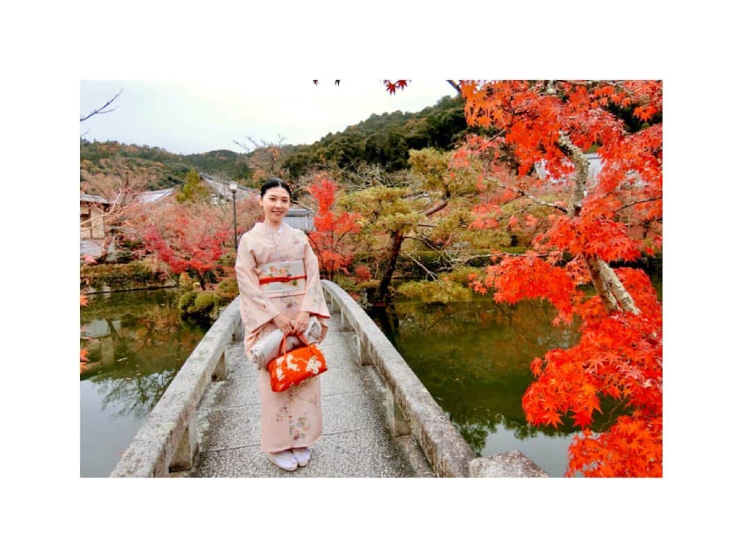 川村亜紀さんのインスタグラム写真 - (川村亜紀Instagram)「🍁👘✨ #leaveschanging #leaves🍁 #kyoto #eikando #🍁 #お着物 や #花街 #歌舞伎 など #日本の伝統 が長く守られ受け継がれますように。 #kimono #kimonocordinate #japanesekimono #japanesetradition #beautifultradition #lovekimono  #instakimono  #お着物 #お着物コーディネイト #日本の伝統 #守るべきもの #帯とお着物 #帯締めと帯揚げ #お草履とバッグ #帯留め #組み合わせが楽しい  #袷 #小紋 #染め帯 #花筏 #長吉呉服店 さん #きねや さん #亜紀の和装記録」12月25日 10時29分 - _aki1015_