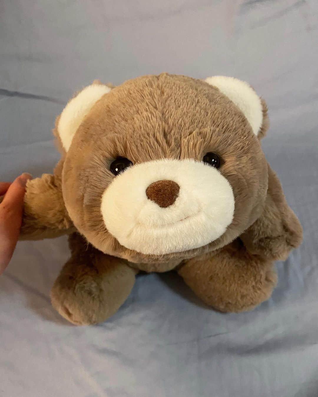 マイア・シブタニさんのインスタグラム写真 - (マイア・シブタニInstagram)「My mom got me this bear as a recovery gift to cheer me up. I named him Smirky because of his smile. Merry Christmas Eve from Smirky and me. ❤️」12月25日 10時38分 - maiashibutani