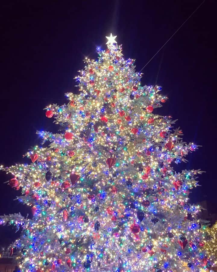 honoka のインスタグラム：「Merry Christmas🎄✨﻿ 今日の予定は﻿ 15:00〜LINE LIVE﻿ 19:00〜lol Xmas Night Event﻿  是非遊びに来てください🙋🏻‍♀️💕」