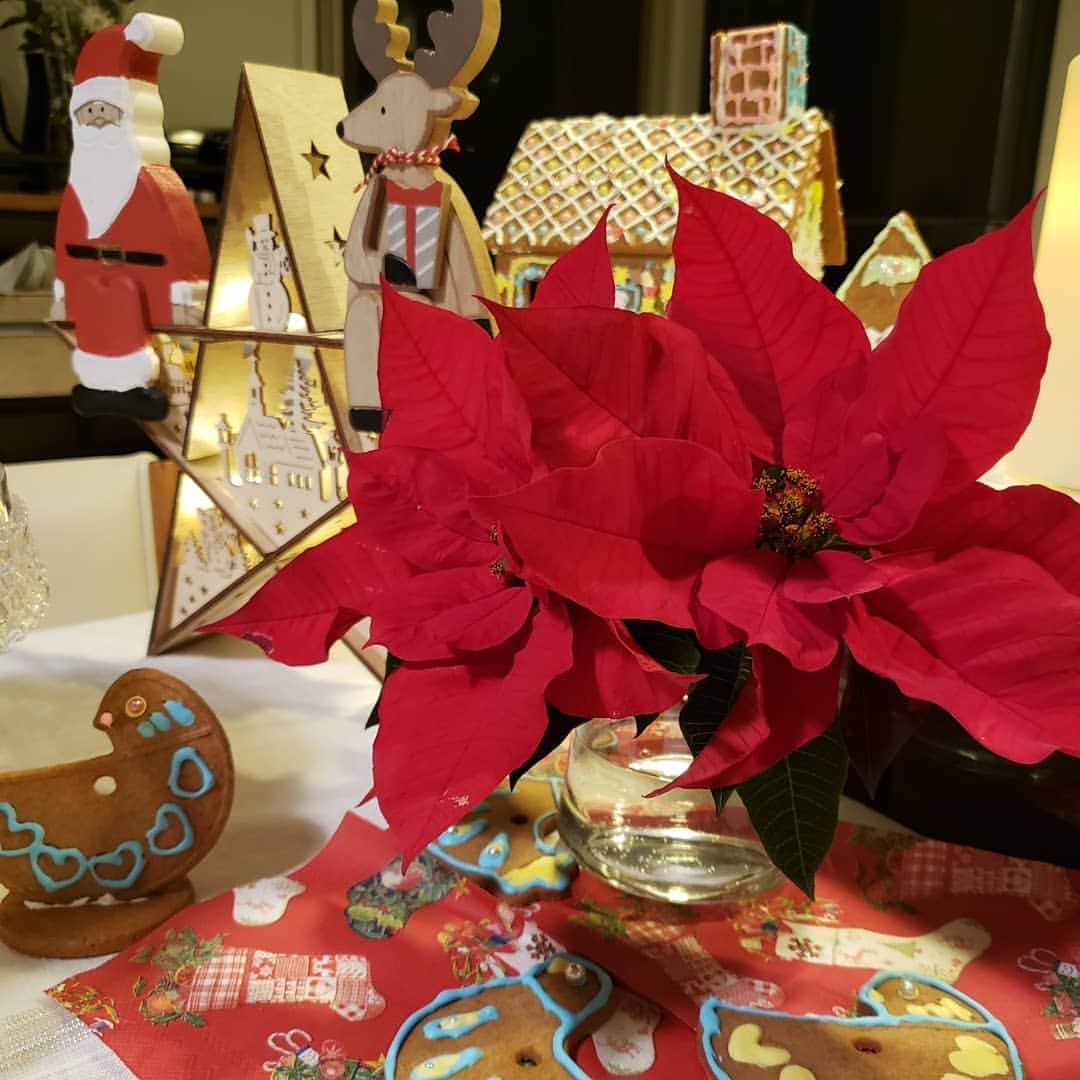 向山志穂のインスタグラム：「Ho!Ho!Ho! Merry Christmas✴  昨晩、我が家はクリスマスパーティーでした👧 娘のお友達と作ったジンジャーブレッドハウスやクリスマスの飾り付けをして手作りのご飯をいただきました😋❤ 毎年恒例のケーキ作りのデコレーションも上手に出来るようになりました😍💯 朝起きて🎅さんからのプレゼントに目をまんまるにしてビックリしていた娘👧 🎄🎅🎅🎄🎅🎅🎄🎅🎅🎄🎅🎅」