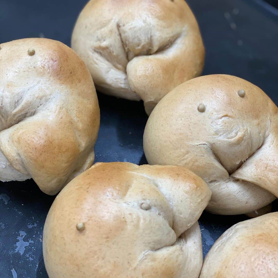 魔女菅原のグルメインスタ