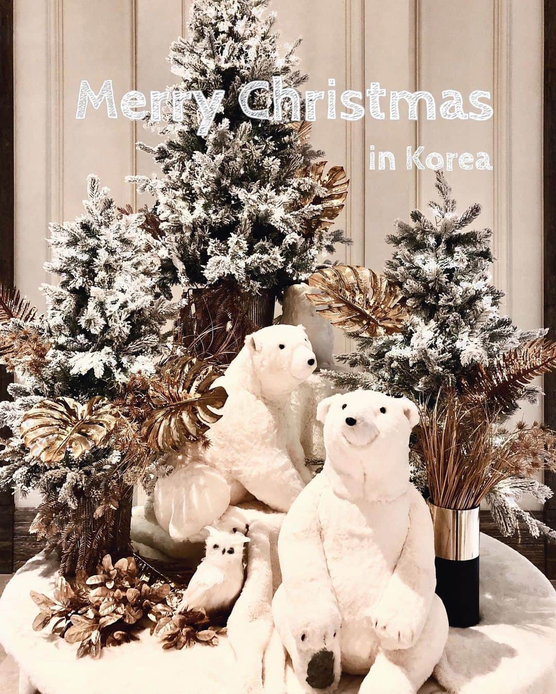のインスタグラム：「.﻿ 𝑴𝒆𝒓𝒓𝒚 𝑪𝒉𝒓𝒊𝒔𝒕𝒎𝒂𝒔🎄﻿ ﻿ ﻿ 韓国３日目🇰🇷﻿ 真夏(guam)からの真冬(korea)はキツいけど﻿ 美味しいもの沢山で楽しぃ〜っ🤤❤️﻿ ﻿ ﻿ #merrychristmas #christmas #korea #koreatrip #travel #メリークリスマス #クリスマス #韓国 #韓国旅行」