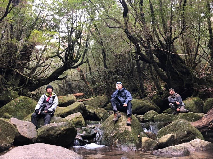 井浦新さんのインスタグラム写真 - (井浦新Instagram)「日本に四つある世界自然遺産 知床・白神山地・小笠原へは何度か旅してきたけど 屋久島は長年行きたくてもなかなか呼ばれなくて ご縁がありませんでした 今回あるプロダクトへの第一歩として形にすべく ようやく憧れの屋久島へご挨拶が叶った ‪今だよ！おいでっ！て声がやっと聞こえてきた  以前に吉岡里帆さんから頂いた 屋久島を舞台にした小説の世界観が大好きだったので 物語の世界を実際に辿って彷徨ってもみた 結果、自然だけじゃなく屋久島の成り立ち 縄文の息吹を感じ歴史と文化を知り 分厚い自然の中を歩き続け 屋久島学の一端に正面からぶつかれた気がする 吉岡里帆さんありがとう  また宿泊した宿・つわんこのご主人ちょんまげさんの 屋久島愛に満ちた熟練のガイドがなければ 目的以上の経験はできなかっただろうし 山でフィールドワークして 無事に下山ができたかもさだかではない 深い学びを頂きました お世話になった皆さま心から感謝致します ありがとうございました  どこでもなんでもそうだけど やっぱり実際に行かなければこの感動は味わえない まだ登りたい山もやりたいこともたくさんある 何度も行きたい大切な場所ができました  ありがとう！屋久島！  #屋久島 #屋久杉 #太忠岳 #天柱石 #天文の森  #天文登り #つわんこ #ちょんまげさん #屋久島学 #Gregory #protrek #keen #elnest #ミコとまぼろしの女王」12月25日 12時06分 - el_arata_nest