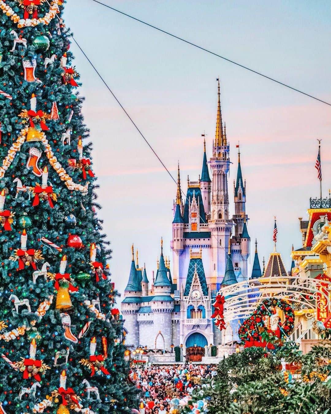 Walt Disney Worldのインスタグラム：「Have a very merry Christmas! 🎄🎁🏰 #DisneyHolidays #WaltDisneyWorld (📷: @disneywithmar)」