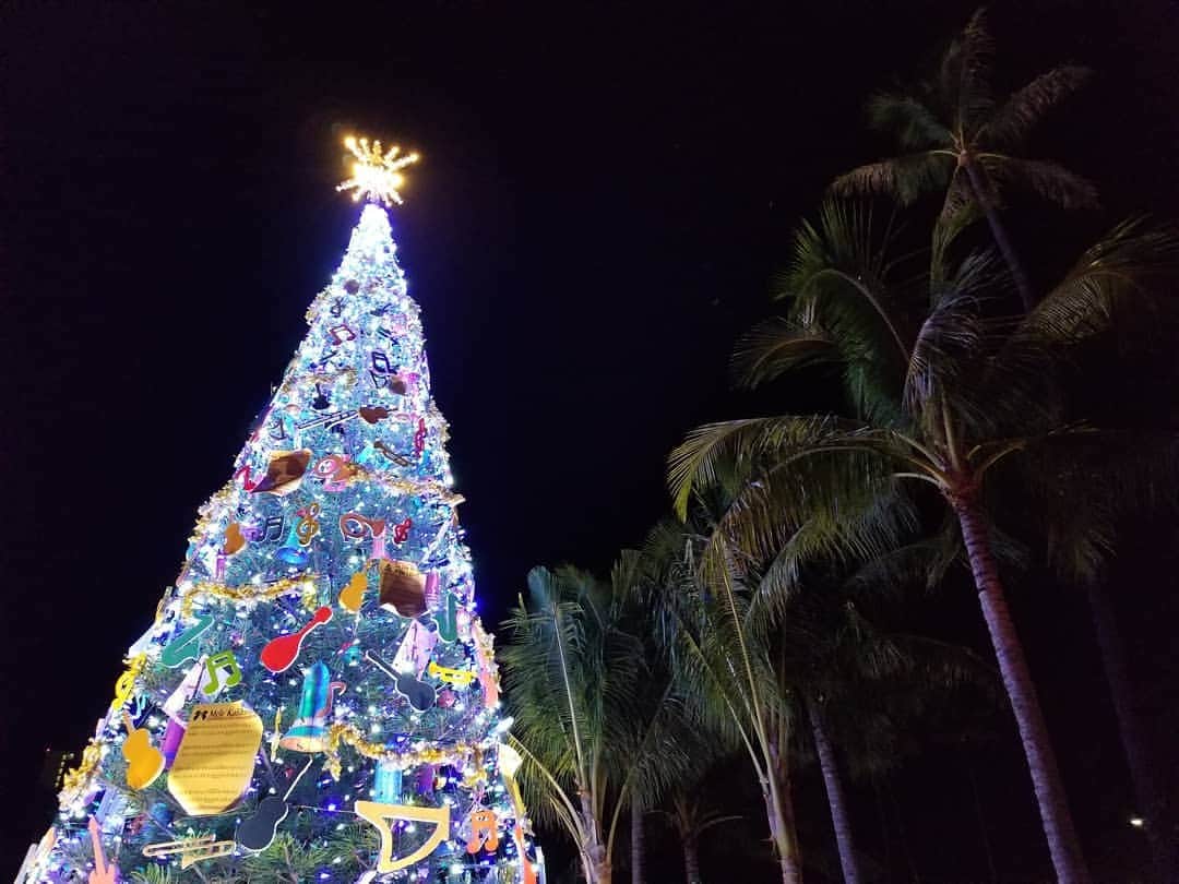 のインスタグラム：「Mele Kalikimaka🌲 ハワイ語でメリークリスマス！  みなさま、すてきなクリスマスをお過ごしください😆  #ハワイ #hawaii  #オアフ島 #oahu  #メリークリスマス🎄  #melekalikimaka  #ハワイのクリスマス  #夜景  #夜景がキレイ #世界のクリスマス  #プレゼント #クリスマスツリー  #hohoho🎅」