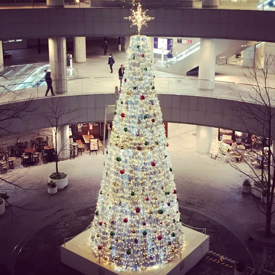 おおたうにさんのインスタグラム写真 - (おおたうにInstagram)「（54）✨🎄Tokyo Opera City🎄✨ 📷 @tomopy__ さん🐹 こちらも新宿の素敵なツリー✨✨ #christmastreehunting #🎄#ツリー狩り #hobby #借り物写真」12月25日 22時43分 - outa_uni