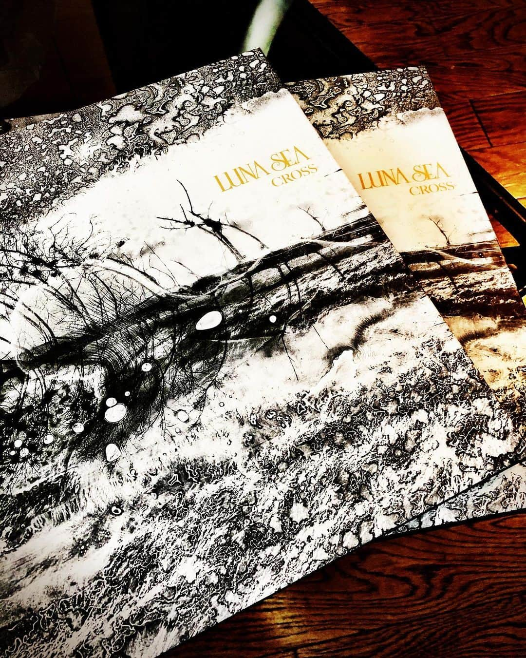 INORANさんのインスタグラム写真 - (INORANInstagram)「Christmas gift . Our Album “ CROSS “ is NO.1 in Japan Album charts.  Thank you all !!!!! #LUNASEA #newalbum #RYUICHI @inoran_official @sugizo_official @j_wumf @331shinya @steve_lillywhite #congratulations」12月25日 23時04分 - inoran_official