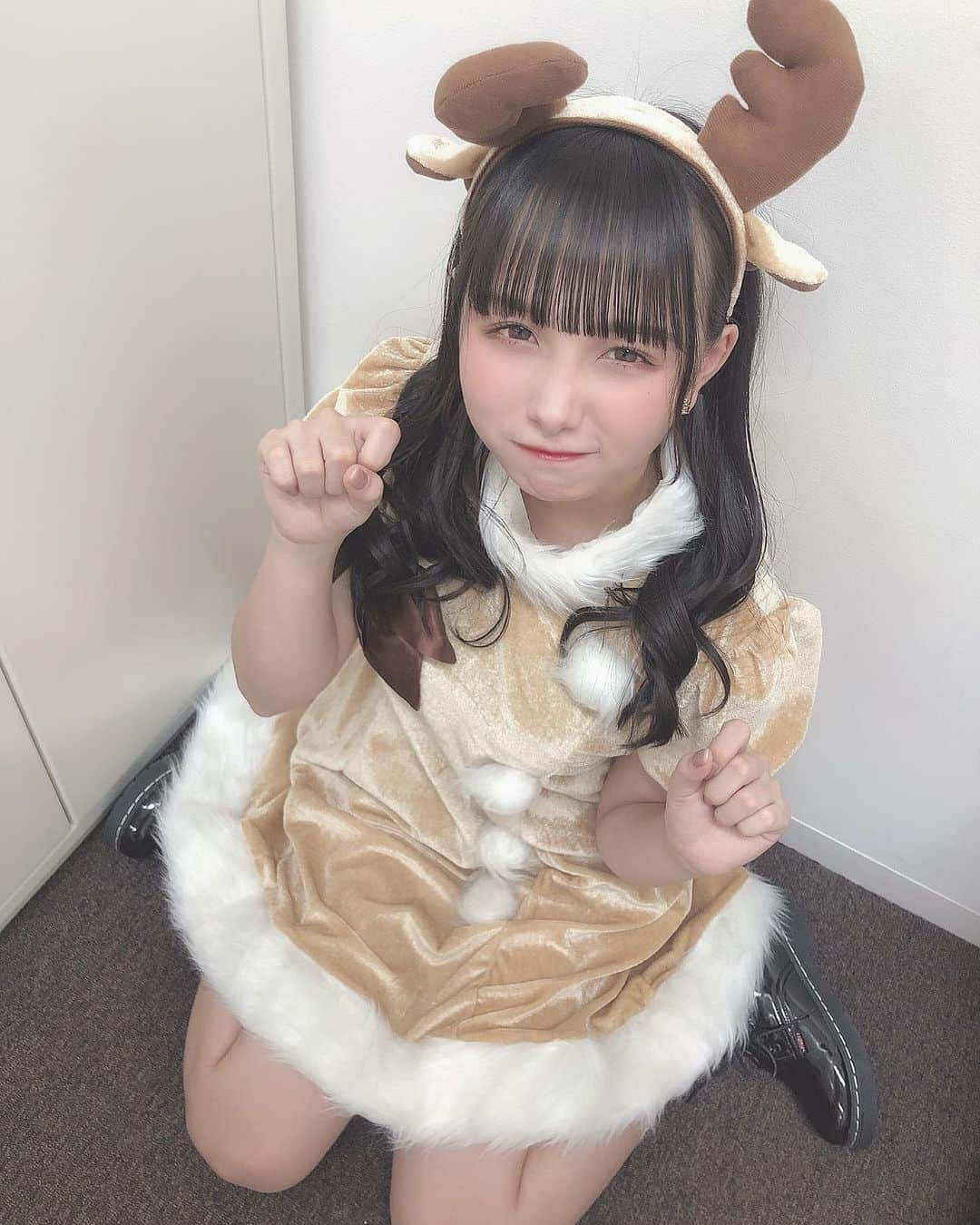 新谷真由さんのインスタグラム写真 - (新谷真由Instagram)「メリークリスマス🦌🎄 . . . . #飼い主募集中 #メリークリスマス #クリスマス」12月25日 23時15分 - ni_mayu43